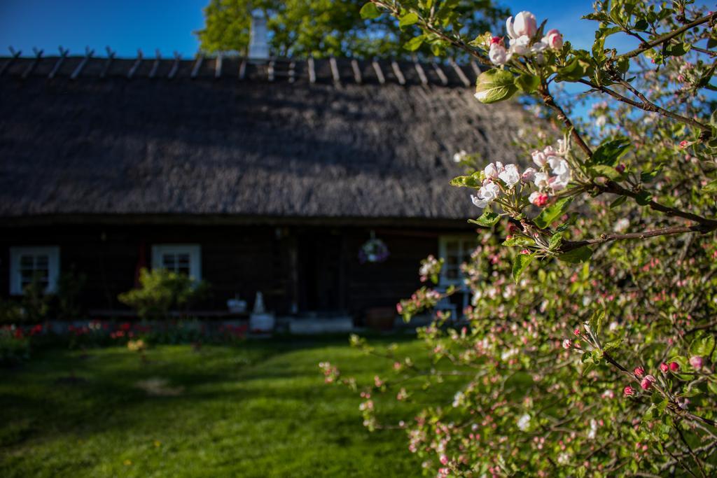 Vila Kuusetuka Tourism Farm Pahkla Exteriér fotografie